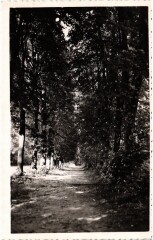 Draveil Le Parc à Draveil