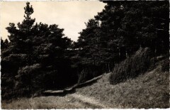 Boissy Un chemin -
													91 Essonne
												