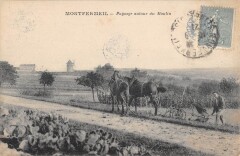 Montfermeil - Paysage Autour Du Moulin -
																					93370 Montfermeil
																			