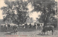 Saint Maur / Creteil / Le Paturage -
													94 Val de Marne
												