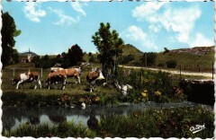 Brenod Le Pont de la Gorge