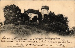 Bellegarde-sur-Valserine Le Chateau de Mussel
