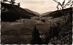 Haute-Vallee de la Valserine - Combe-en-Bas