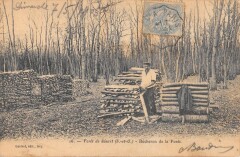 Foret De Senart / Bucheron De La Foret