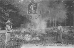 Foret De Senart - Bucheron Au Travail