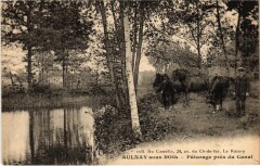 Aulnay Paturage pres du Canal