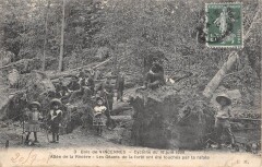 Bois De Vincennes - Cyclone 1908 Allee De La Riviere à Vincennes