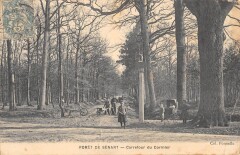 Foret De Senart - Carrefour Du Cormier