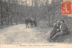 Robinson - L'Arbre Des Rochers - Une Pause Obligatoire