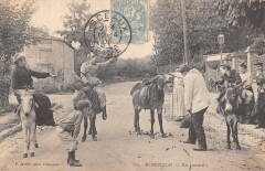 Robinson   En Panne