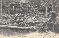 Le Bois De Vincennes Apres Le Cyclone à Vincennes