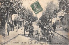 Montmorency / Boulevard De L'Ermitage / Promenade A Ane -
																					95160 Montmorency
																			
