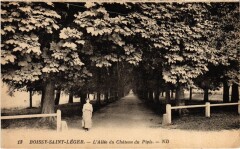 Boissy-Saint-Leger Allee du Chateau du Piple -
													94 Val de Marne
												