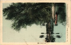 Le Tour de Marne de Champigny a La Varenne - Etude d'Arbres