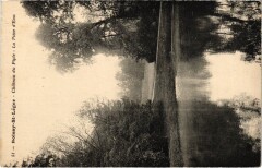 Boissy-Saint-Leger Chateau du Piple - Piece d'Eau -
													94 Val de Marne
												