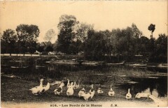 Les Bords de la Marne