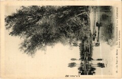 Le Tour de Marne de Champigny a La Varenne - Etude d'Arbres