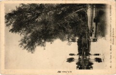 Le Tour de Marne de Champigny a La Varenne - Etude d'Arbres