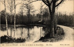 Draveil Foret de Senart La mare de la Route -
																					91210 Draveil
																			