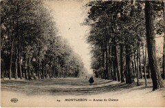 Montgeron Avenue du Chateau à Montgeron
