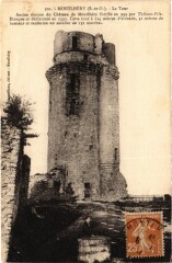 Montlhery La Tour -
													91 Essonne
												