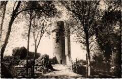 Montlhery Ruines du Chateau -
													91 Essonne
												