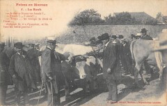 Foires En Morvan - Les Boeufs