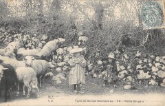 Types Et Scenes Champetres - Petits Bergers