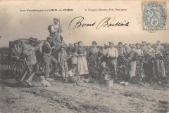 Les Vendanges En Loir Et Cher -
													41 Loir et Cher
												