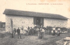 Chateau Du Sap - La Rentree Du Raisin -
													82 Tarn et Garonne
												