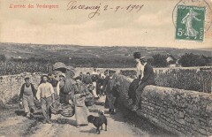 Cote D'Or - L'Arrivee Des Vendangeurs