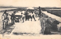Les Salins D'Hyeres - Recolte Du Sel