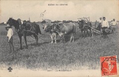 Scene Du Centre / Les Moissonneurs