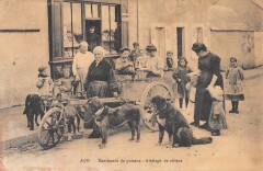 Normandie - Attelage De Chiens - Marchande De Poisson