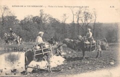 Scenes De La Vie Normande - Visite A La Ferme - Servantes Revenant De Tra