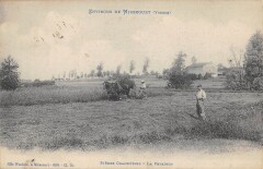 Environs De Mirecourt - Scenes Champetres - La Fenaison à Mirecourt