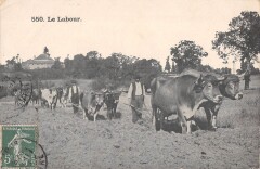 Agriculture - Le Labour