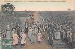 Les Vins De Touraine / Chateau De Montcontour / Vouvray / Vendangeurs All à Vouvray
