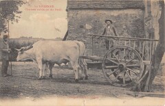 En Nivernais - Charrette Trainee Par Des Boeufs -
													58 Nièvre
												