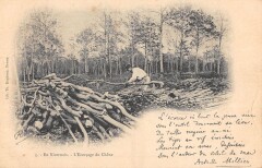 En Nivernais - L'Ecorcage Des Chenes -
													58 Nièvre
												