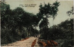 Foret de Senart - Vue prise a l'Ermitage