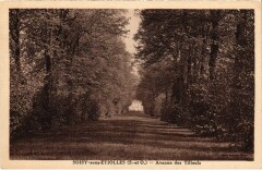 Soisy-sous-Etiolles Avenue des Tilleuls