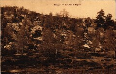 Milly-la-Foret Le Nid d'Aigle