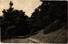 Boissy-la-Riviere Un Chemin