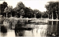 Mennecy Les Etangs à Mennecy