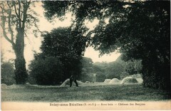 Soisy-sous-Etiolles Sous Bois - Chateau des Donjons