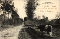 Limours Cote de Roussigny à Limours