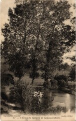 L'Etang du Chateau de Gommonvilliers