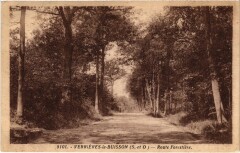 Verrieres-le-Buisson Route Forestiere