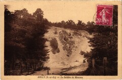 Milly-la-Foret La Sabliere de Monceau